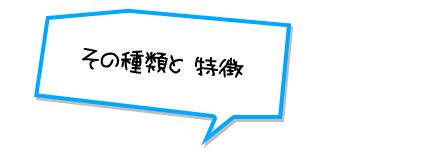 その種類と 特徴